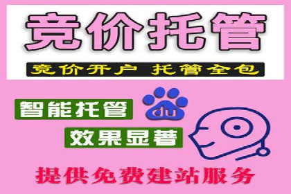 百度竞价托管运营助力电商转化案例